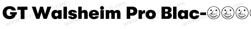 GT Walsheim Pro Blac字体转换